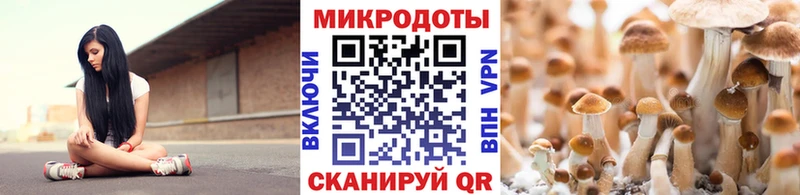 Галлюциногенные грибы Magic Shrooms  Лагань 