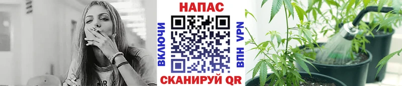 Конопля марихуана Лагань